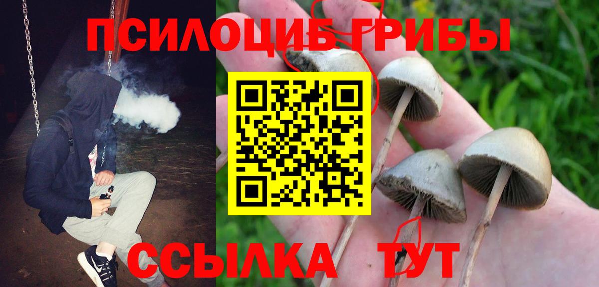 Псилоцибиновые грибы Psilocybine cubensis  Вход с VPN  Абинск  Псилоцибиновые грибы GOLDEN TEACHER 